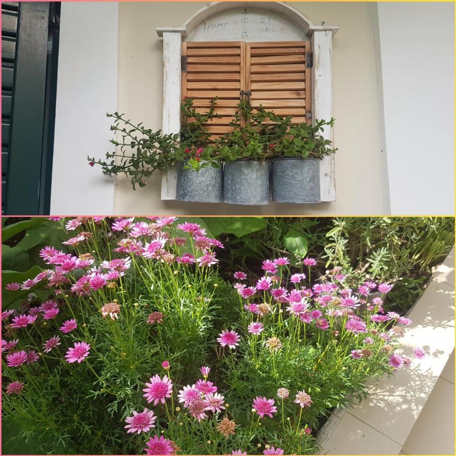 Efi'S Studio Lefkada City Екстер'єр фото
