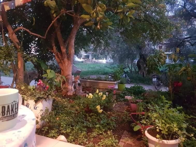 Efi'S Studio Lefkada City Екстер'єр фото