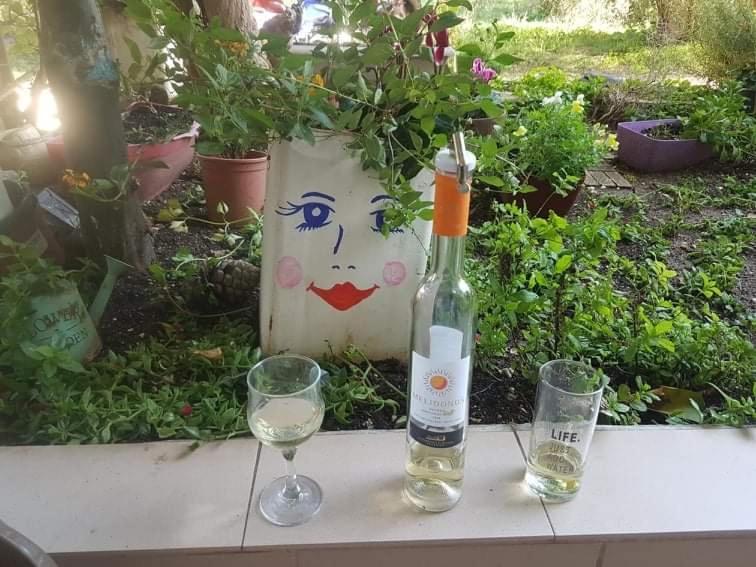 Efi'S Studio Lefkada City Екстер'єр фото