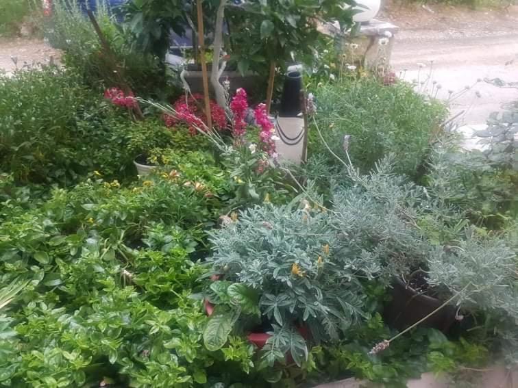 Efi'S Studio Lefkada City Екстер'єр фото