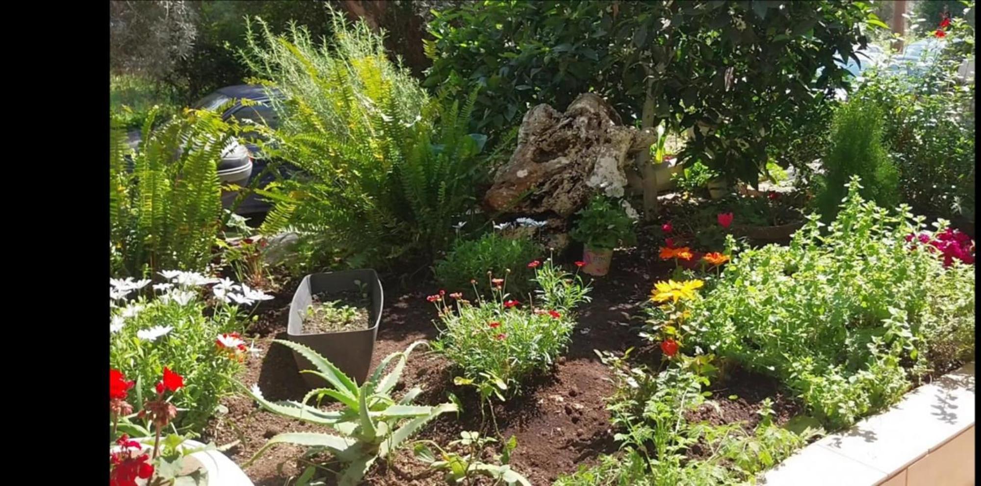 Efi'S Studio Lefkada City Екстер'єр фото
