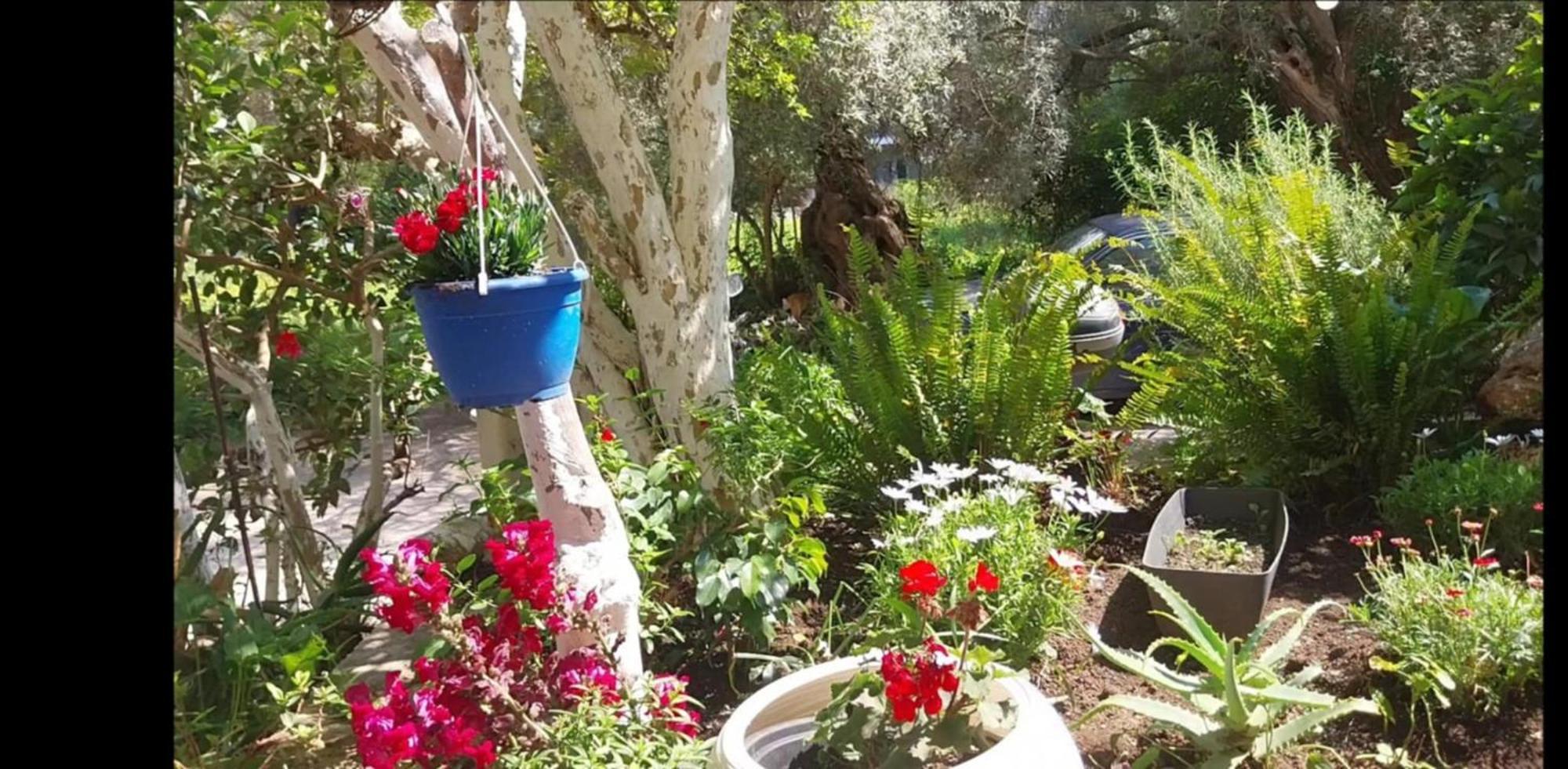 Efi'S Studio Lefkada City Екстер'єр фото