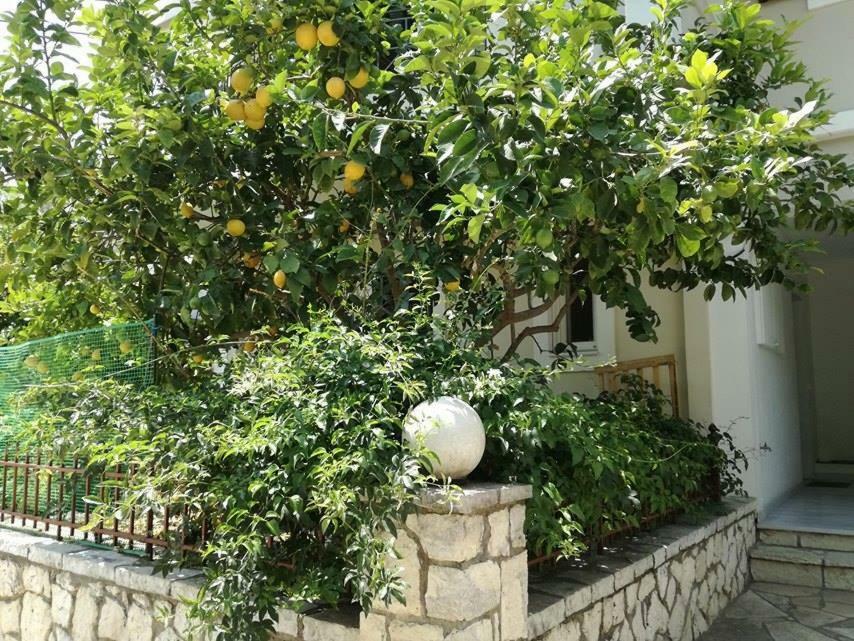 Efi'S Studio Lefkada City Екстер'єр фото