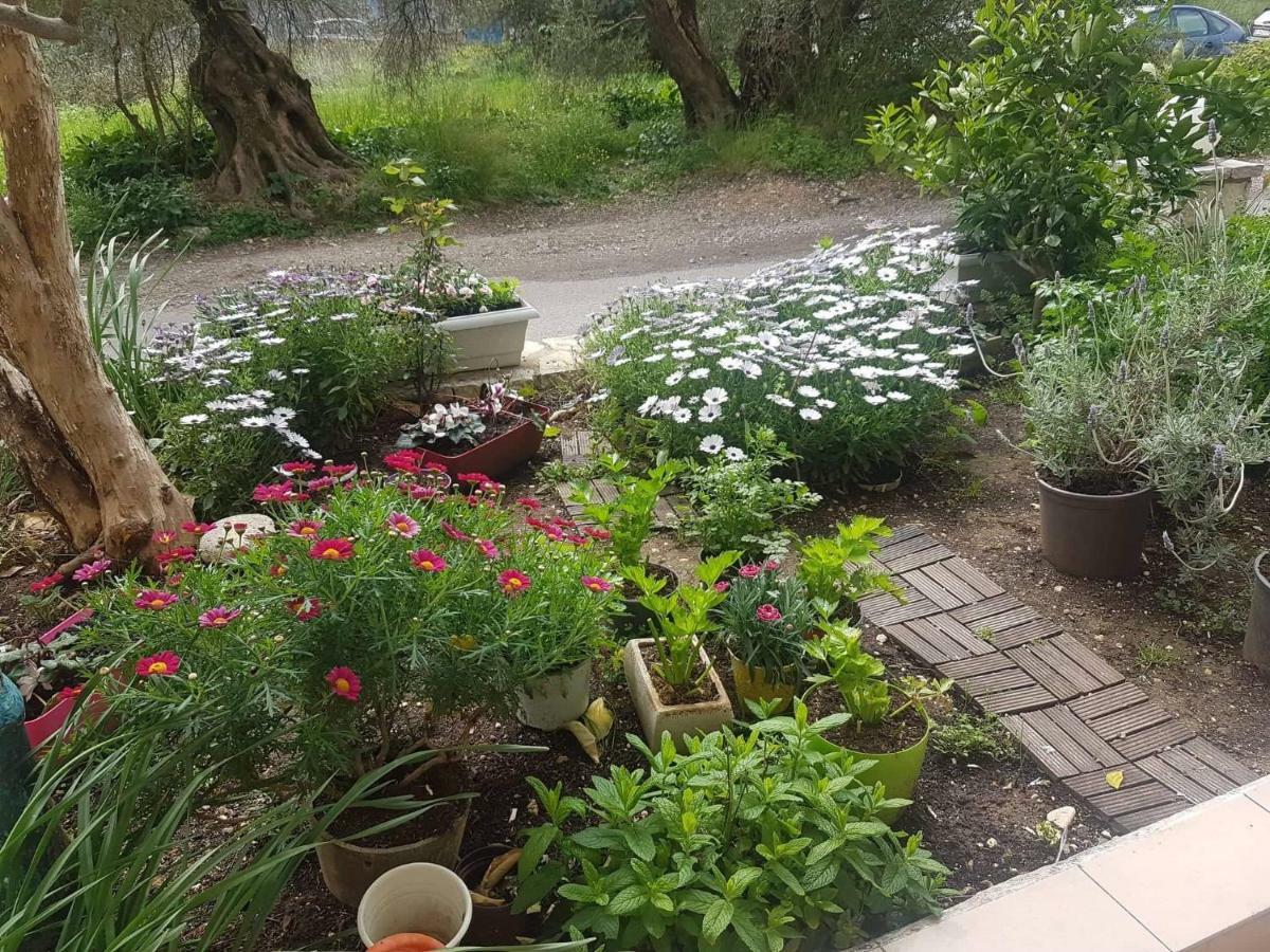 Efi'S Studio Lefkada City Екстер'єр фото